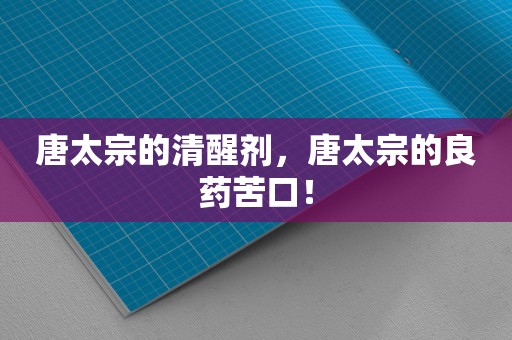 唐太宗的清醒剂，唐太宗的良药苦口！