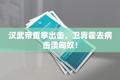 汉武帝重拳出击，卫青霍去病击溃匈奴！