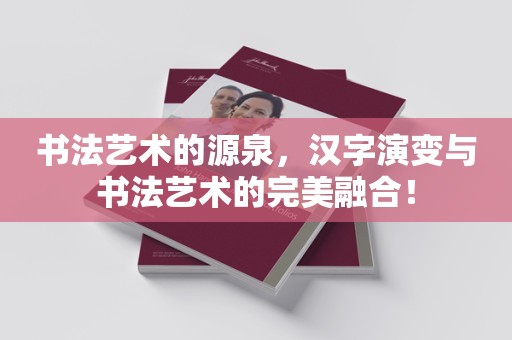 书法艺术的源泉，汉字演变与书法艺术的完美融合！